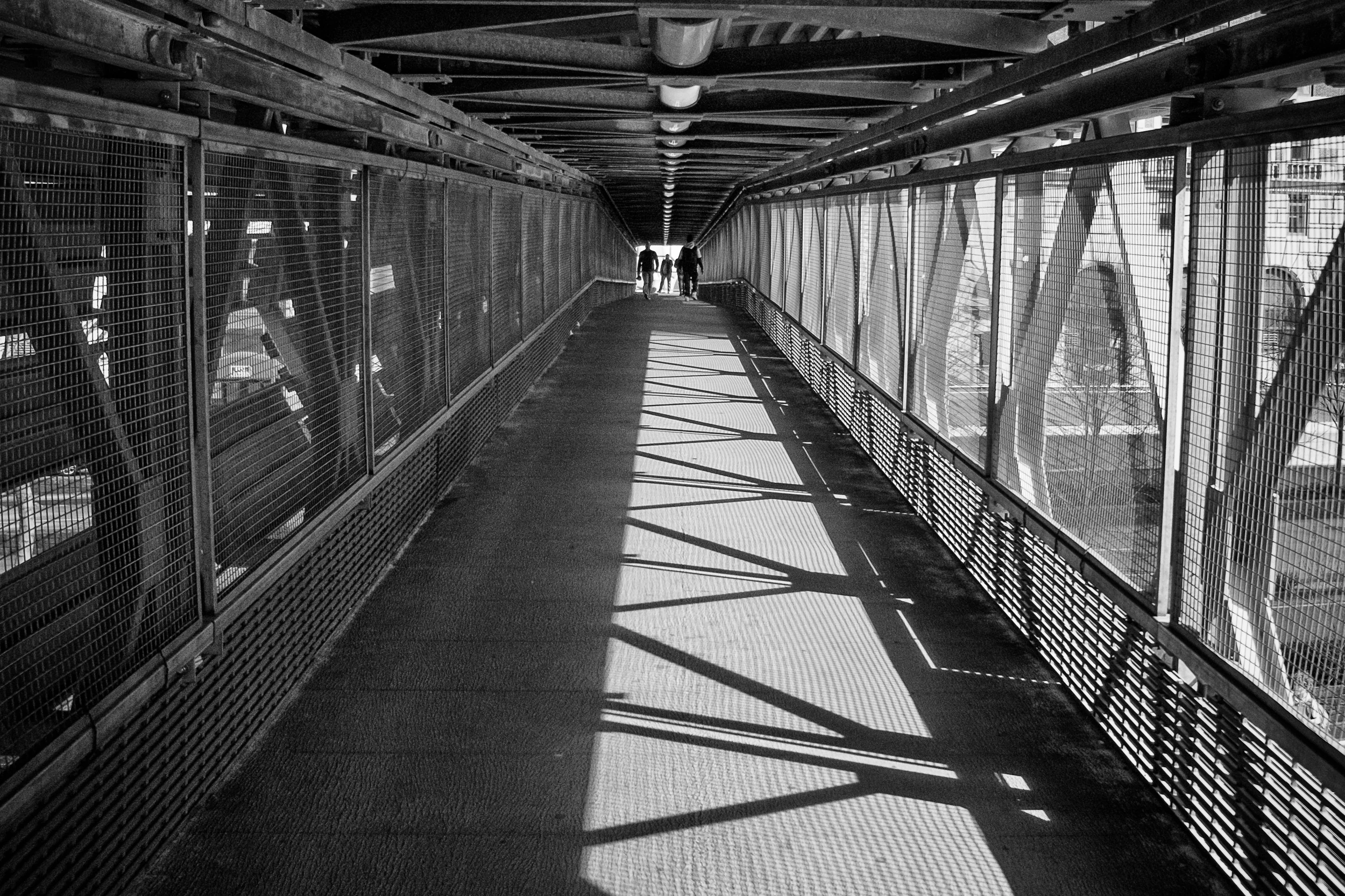 DSCF7166-Edit-2.jpg