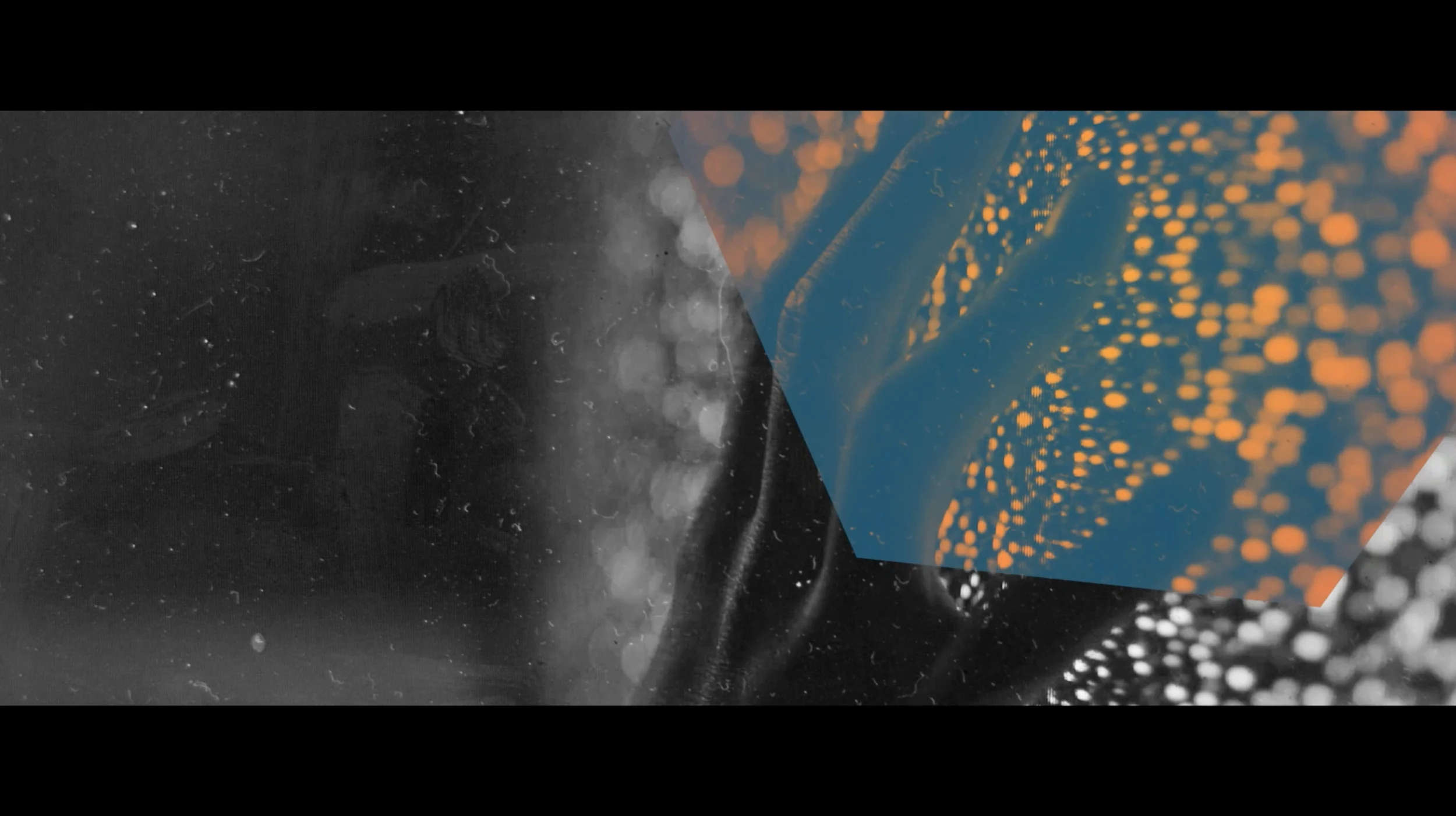 Screenshot 2016-12-08 21.04.28.png