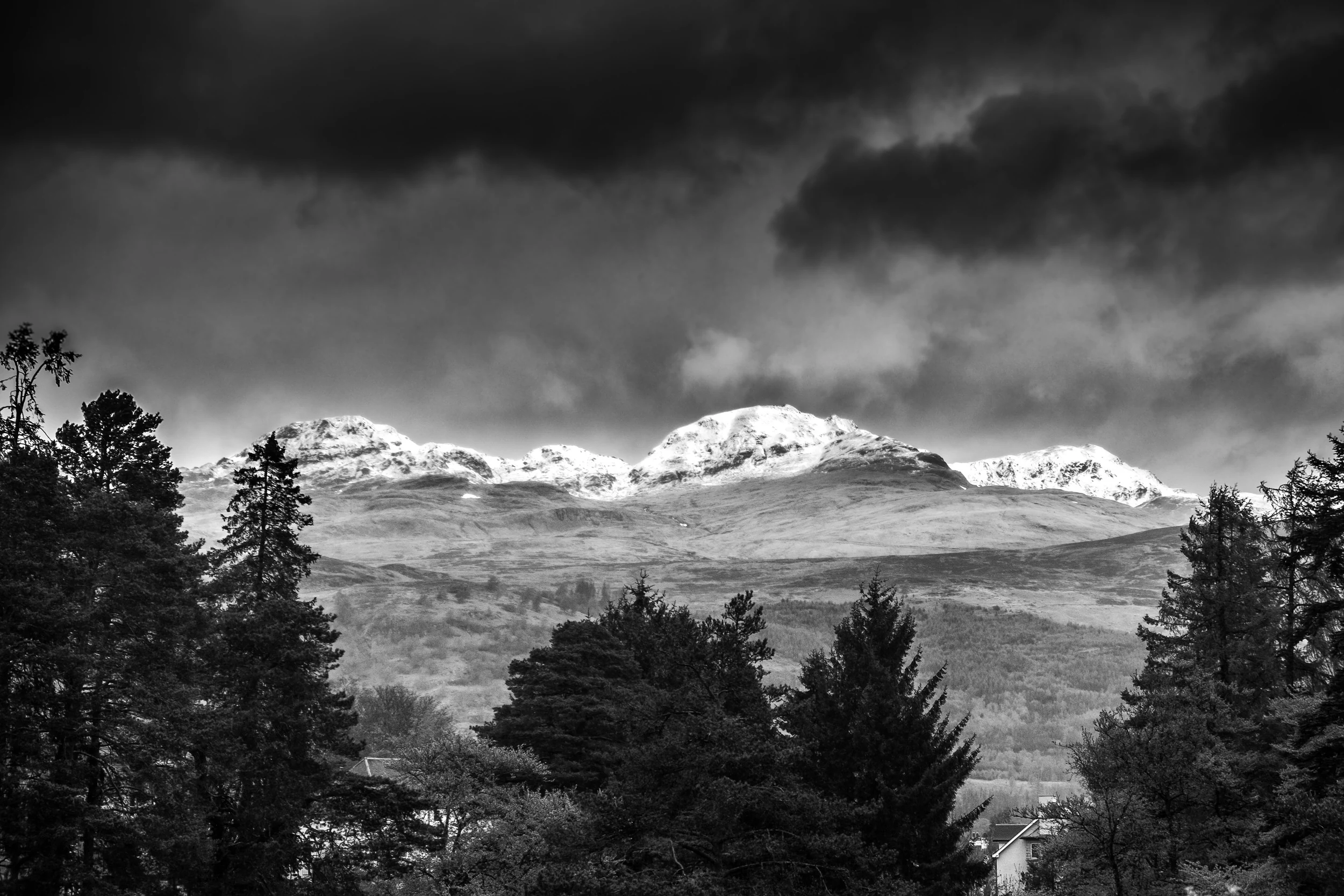 DSCF7902-Edit.jpg